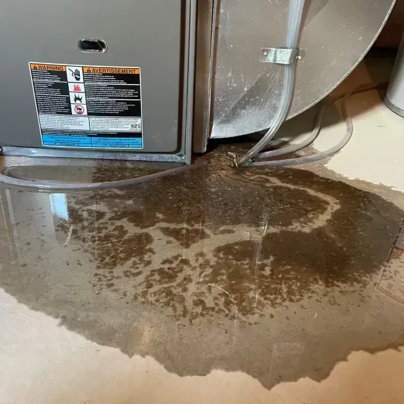 Appliance Leak Cleanup in Burr Ridge, IL